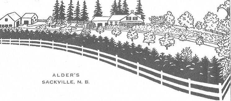 1950 sketch of the former Alder Trueman property
