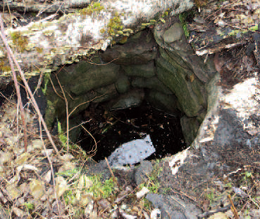 Photo of well